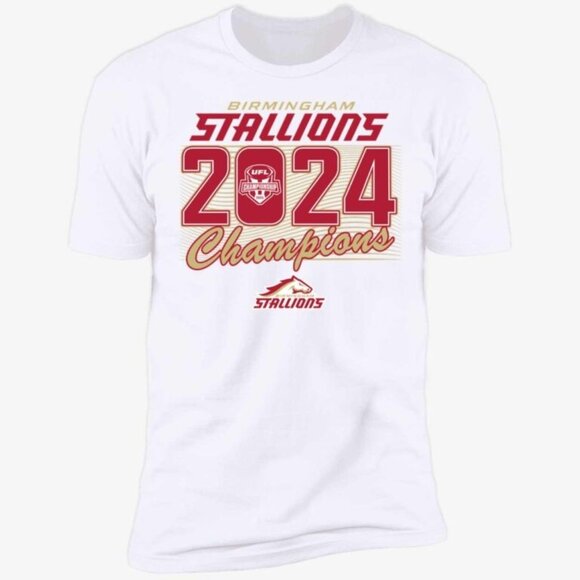Birmingham Stallions 2024 UFL Champions Football Fan Gift Graphic T-Shirt 159 - Picture 1 of 5